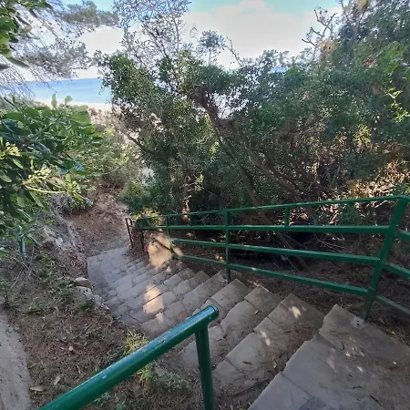 Panorama *
