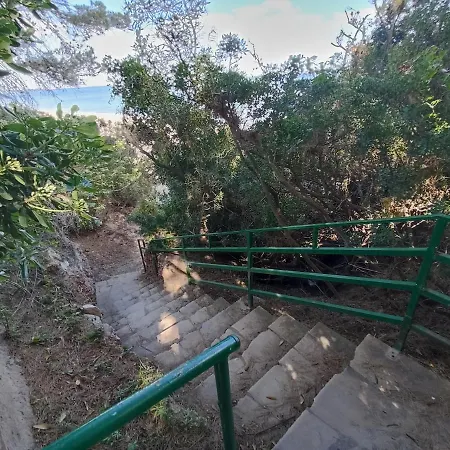 Panorama *
